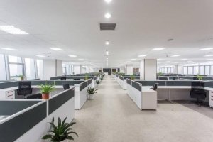 這六種辦公室裝修風(fēng)格可以說是百搭風(fēng)