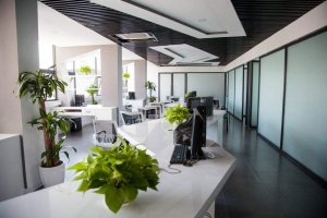 行政辦公室設(shè)計(jì)的要點(diǎn)