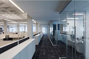 辦公室裝修綠植搭配有哪些實用的原則？