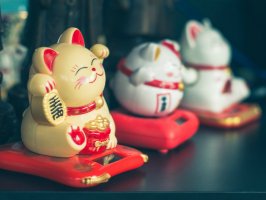 上海辦公室裝修風(fēng)水之辦公室財(cái)位如何擺放？