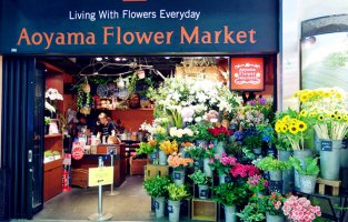 花店空間設(shè)計(jì)知識都有哪些